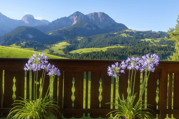 Chalet – Chat-dOex